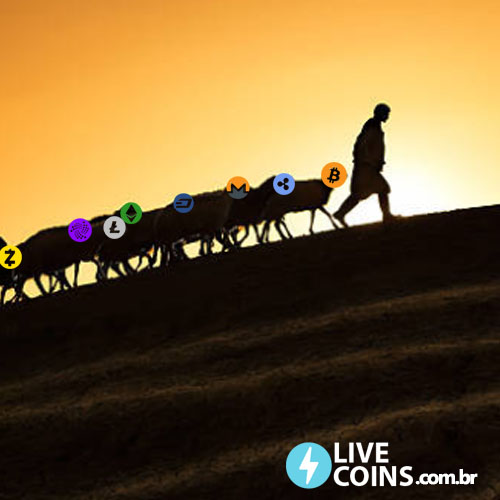 Aplicativos para gerenciamento de criptomoedas
