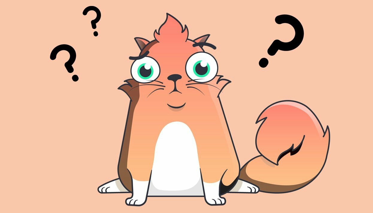 O que são CryptoKitties