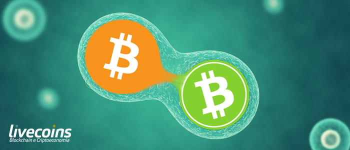 resgatar forks bitcoin