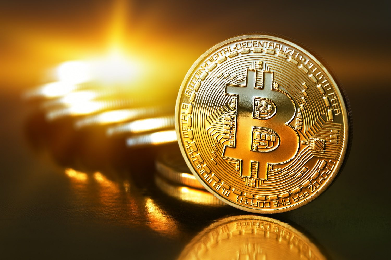 btc profitfy