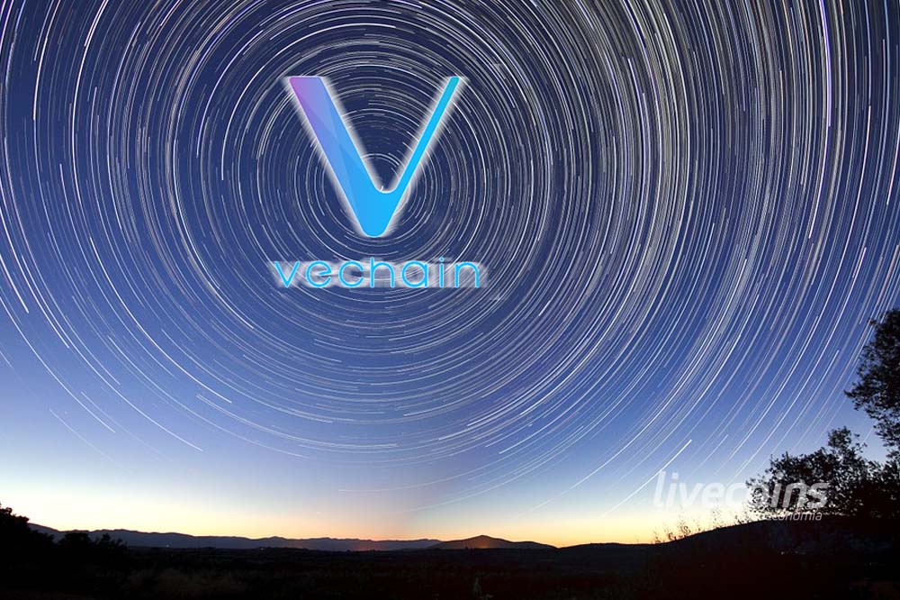 vechain top16