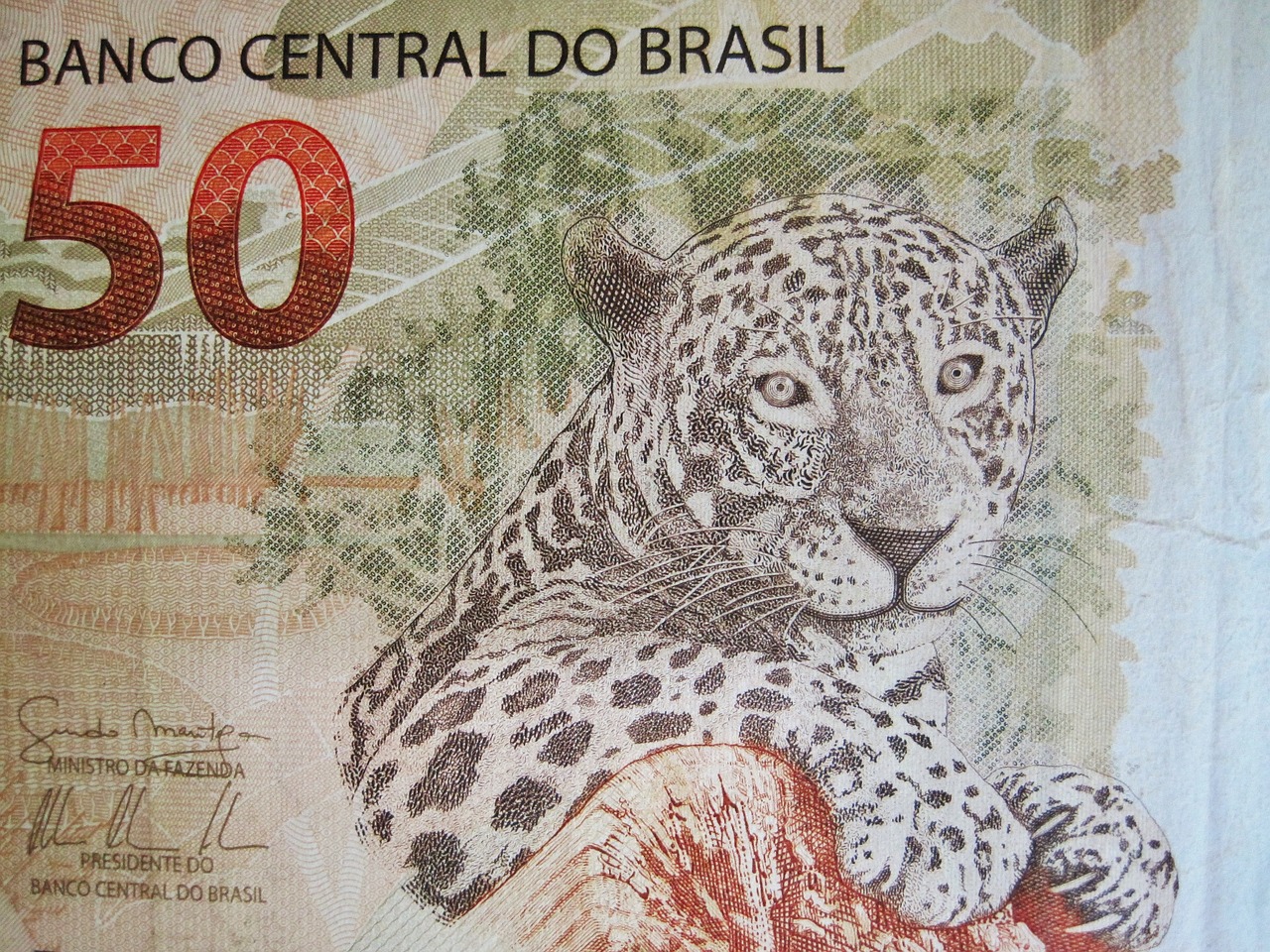 Banco Central altera regra e câmbio para cartão de crédito e compras no exterior