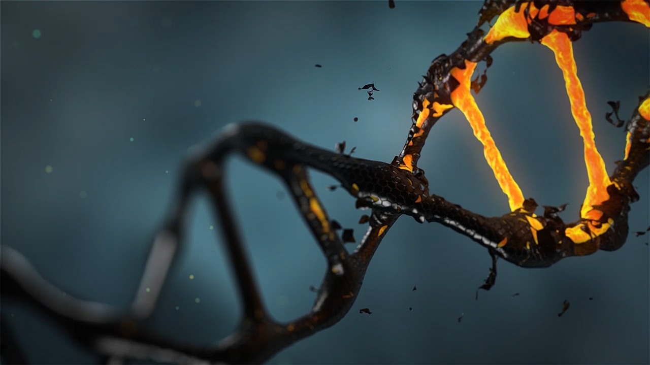 DNA e Bitcoin