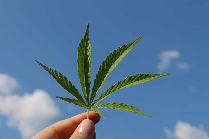 Maconha foi mais rentável que o Bitcoin