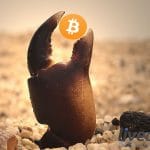 Bitcoin igual caranguejo e altcoins em mares agitados