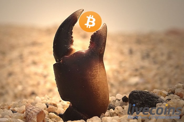 Bitcoin igual caranguejo e altcoins em mares agitados