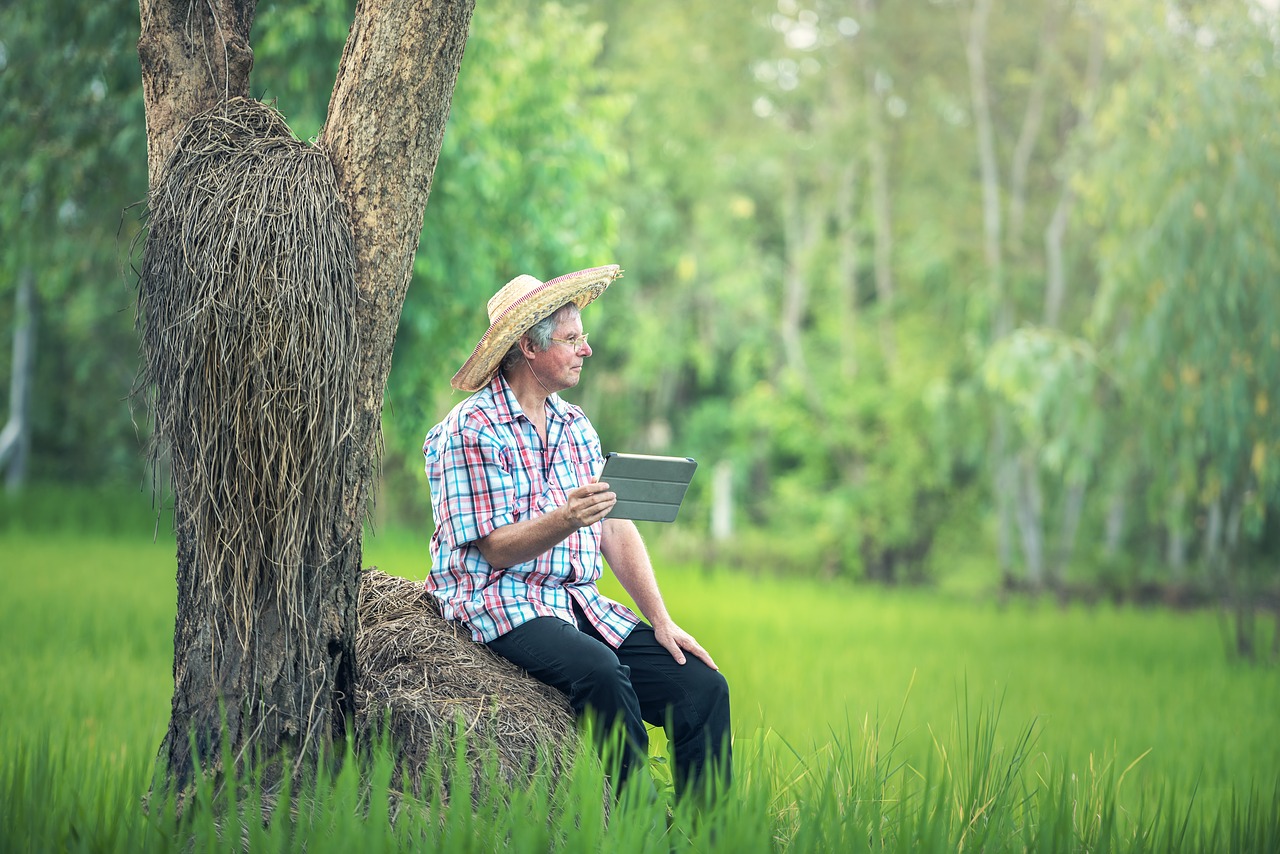 Agricultura (Agro) e Tecnologia blockchain