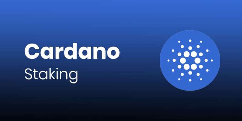 Cardano staking