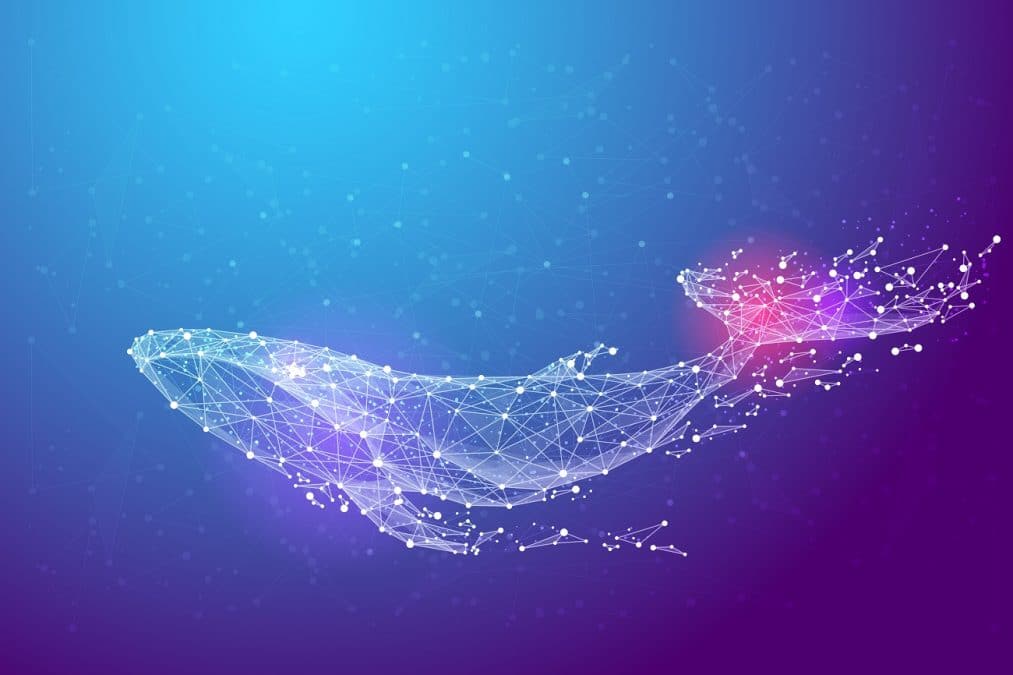 Baleia com pontos Bitcoin
