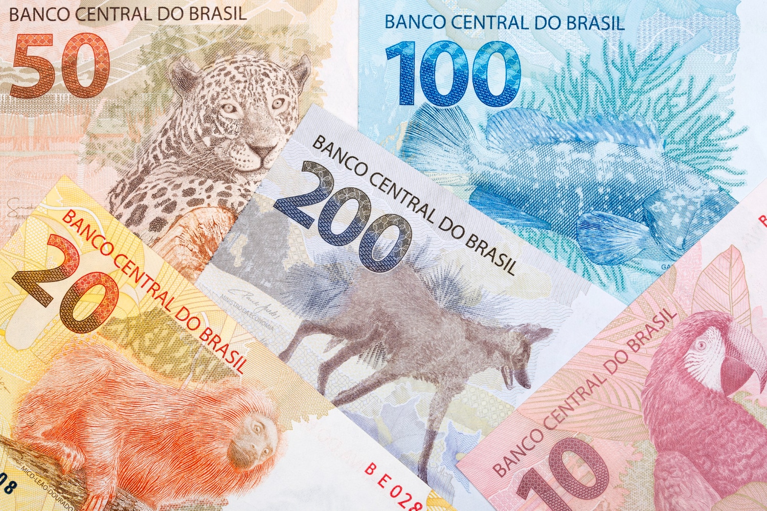 Real brasileiro digital notas