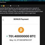 Cliente recebe 700 bitcoins por engano. Imagem: Reddit