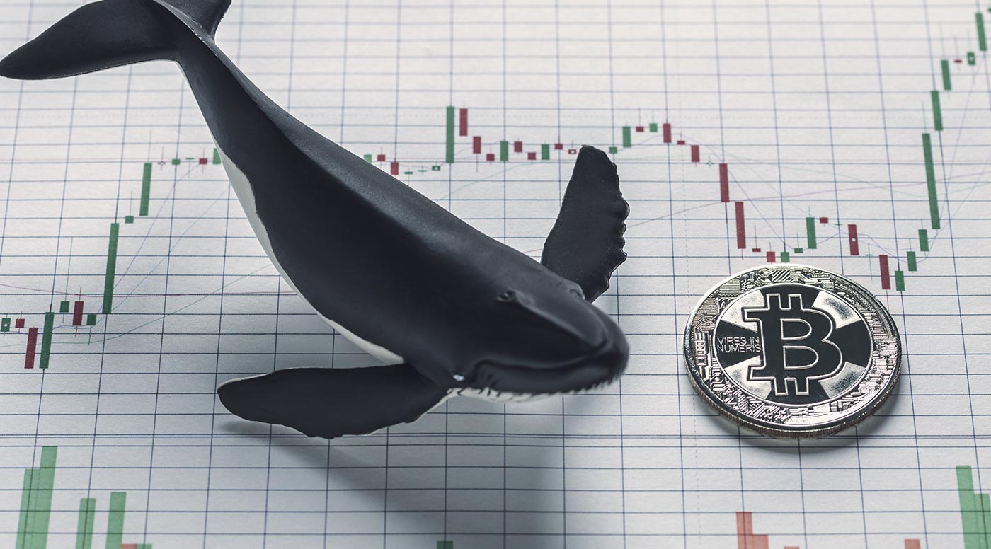 Baleia Bitcoin. (Imagem: Adobe Stock)