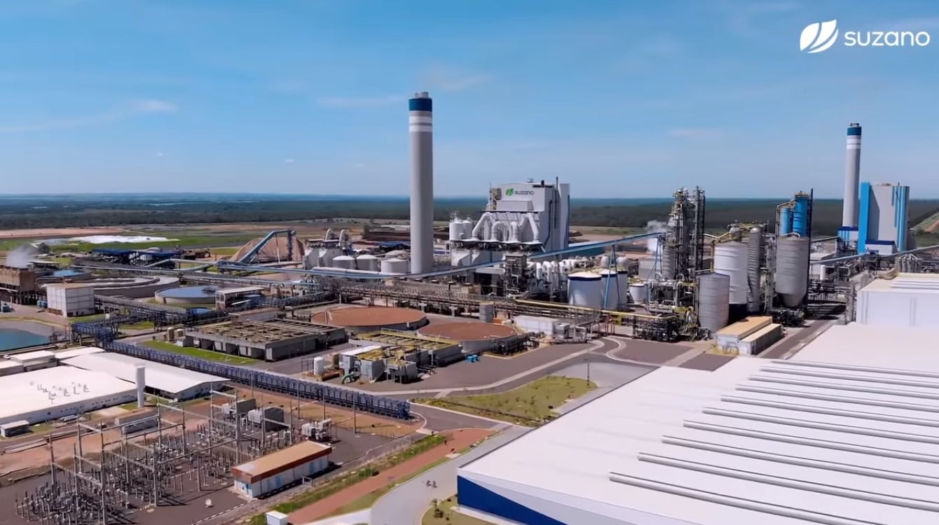 Empresa Suzano Celulose