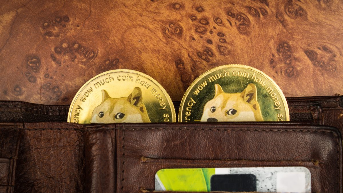 Carteira com duas criptomoedas Dogecoin dentro