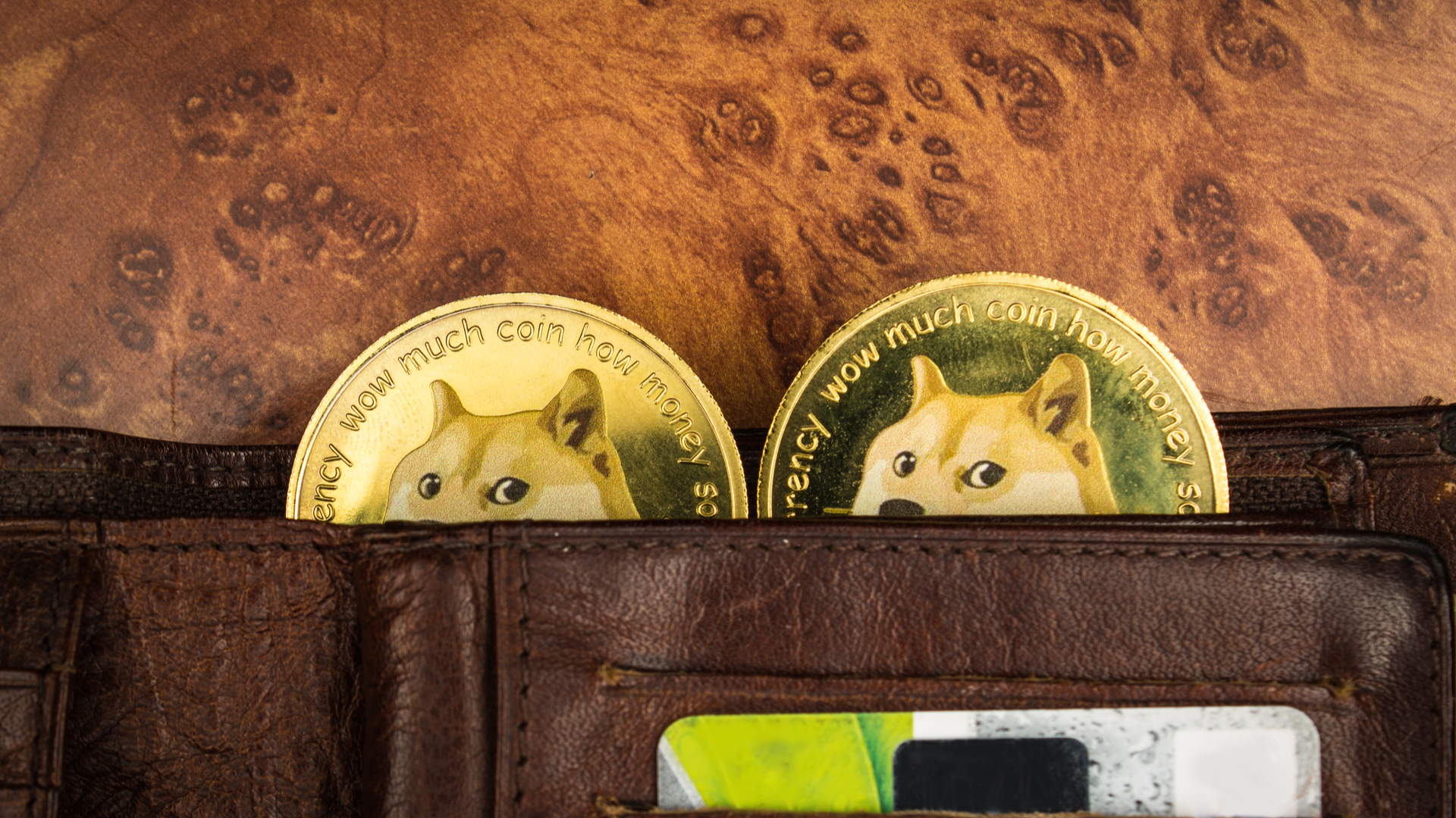 Carteira com duas criptomoedas Dogecoin dentro
