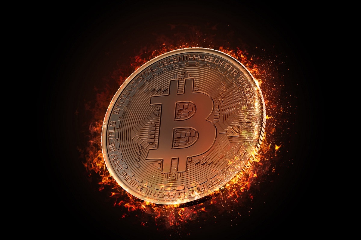 Fogo Bitcoin Tocha