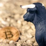 Touro observando o Bitcoin bull trap