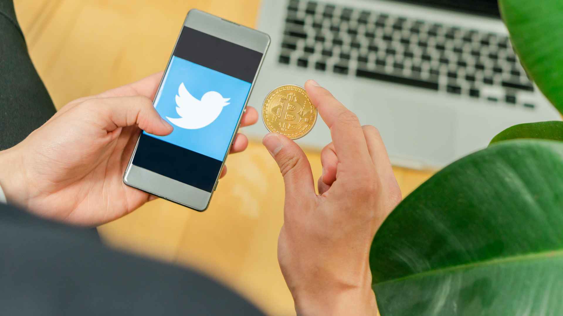 Moeda Bitcoin e Twitter