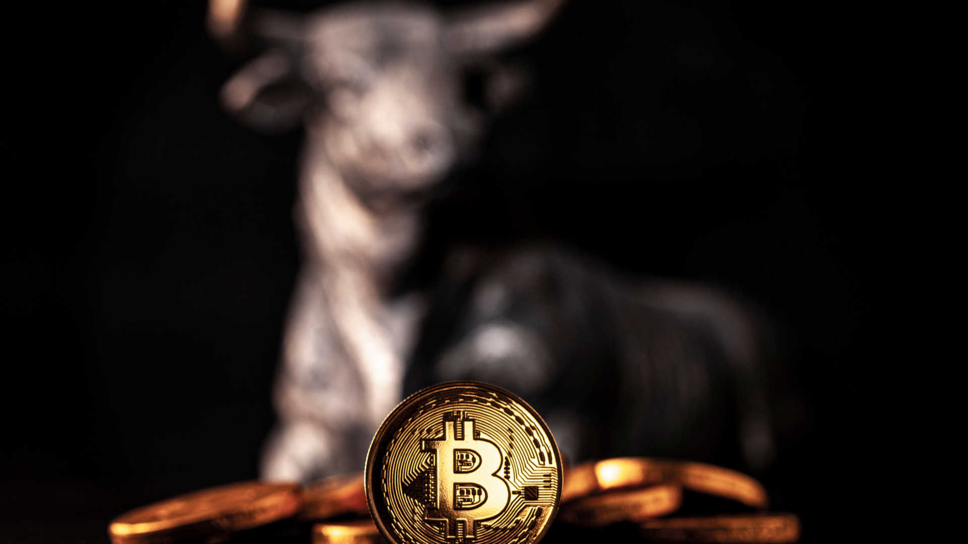 Monte de Bitcoin observado por um touro ao fundo alta do preço cotação