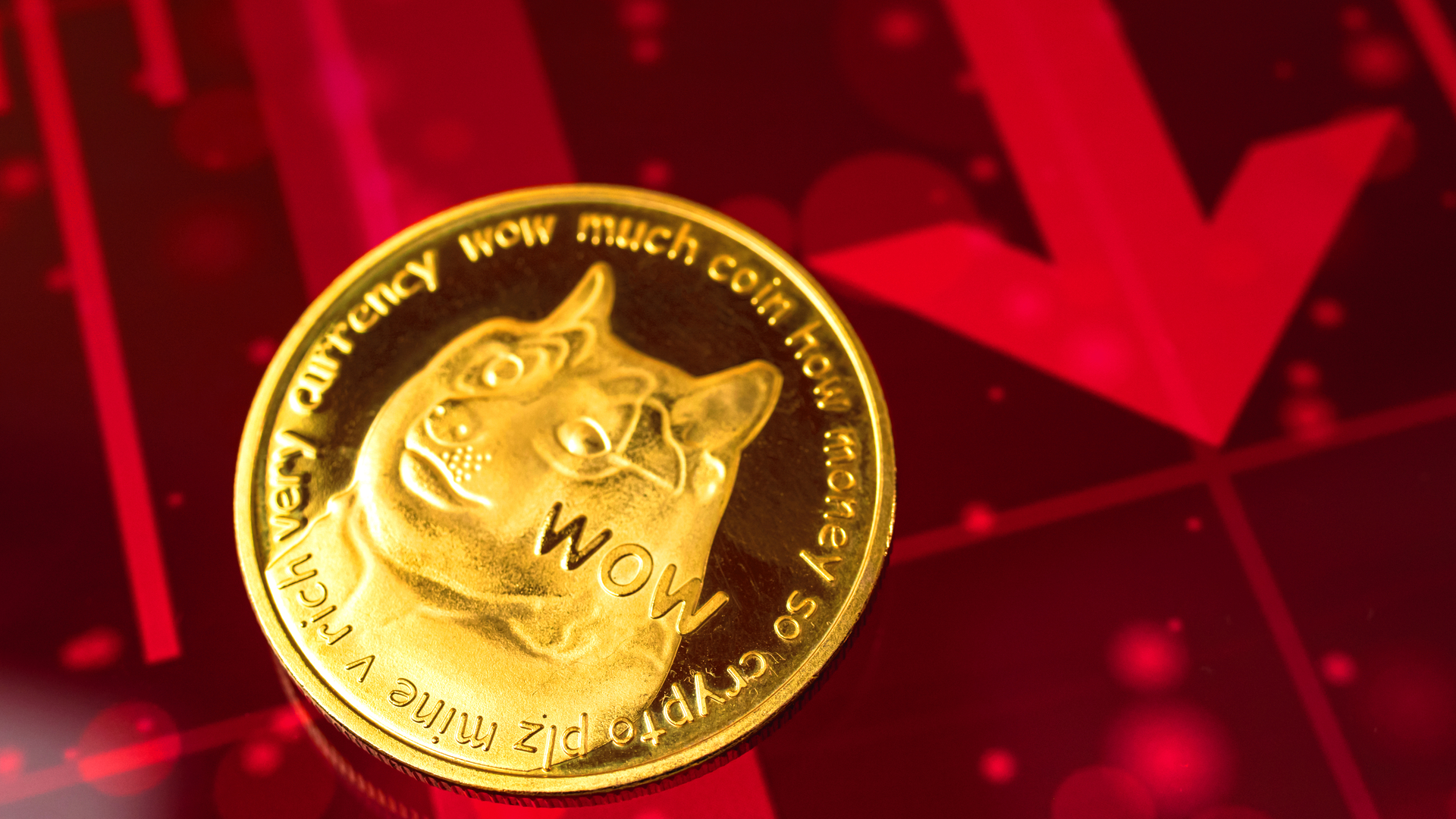 Queda da Dogecoin DOGE despenca desvalorização brasileiro