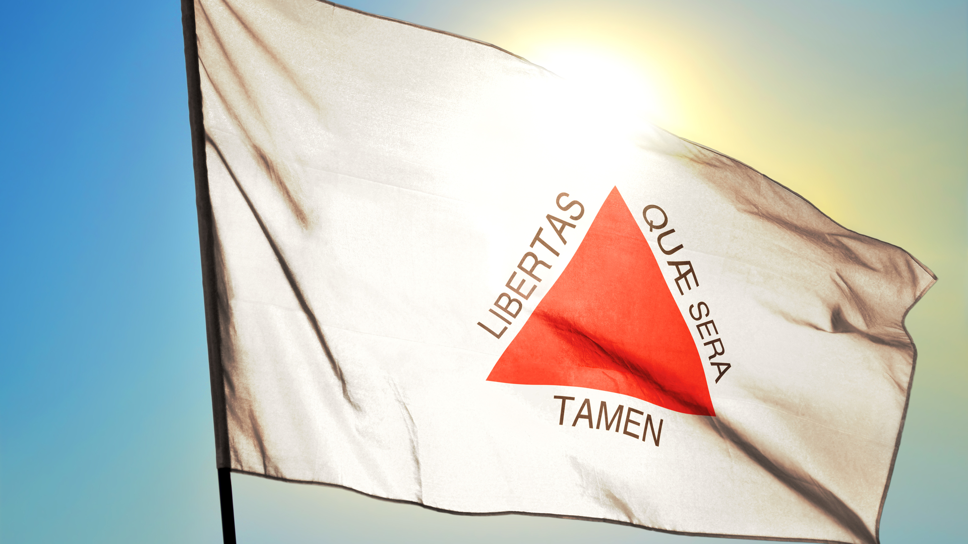 Bandeira de Minas Gerais