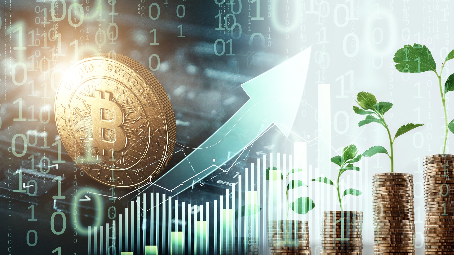 Dados Gráficos e Bitcoin