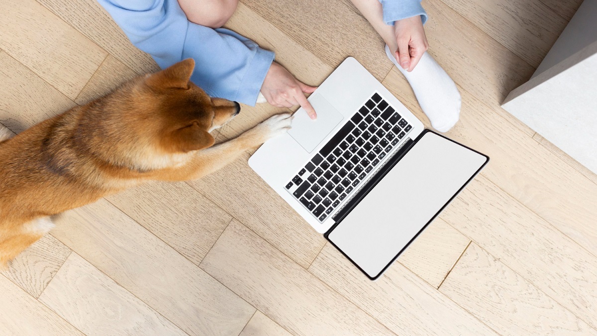 Jovem olhando para tela de notebook ao lado de cachorro da raça Shiba Inu