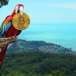 Arara próxima de praia segurando Bitcoin