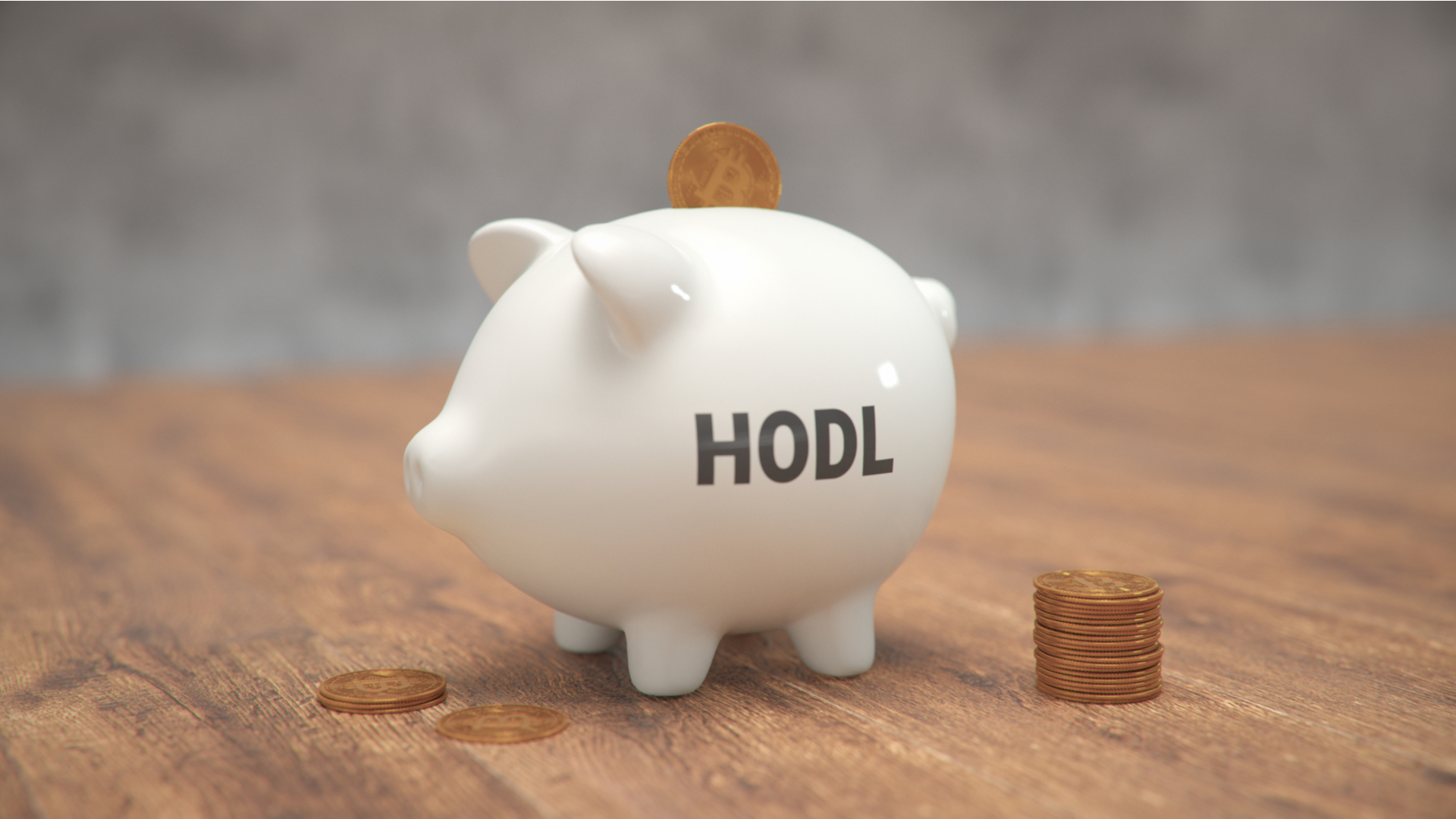 Bitcoin sendo colocado em cofre porquinho com a escrita Hodl