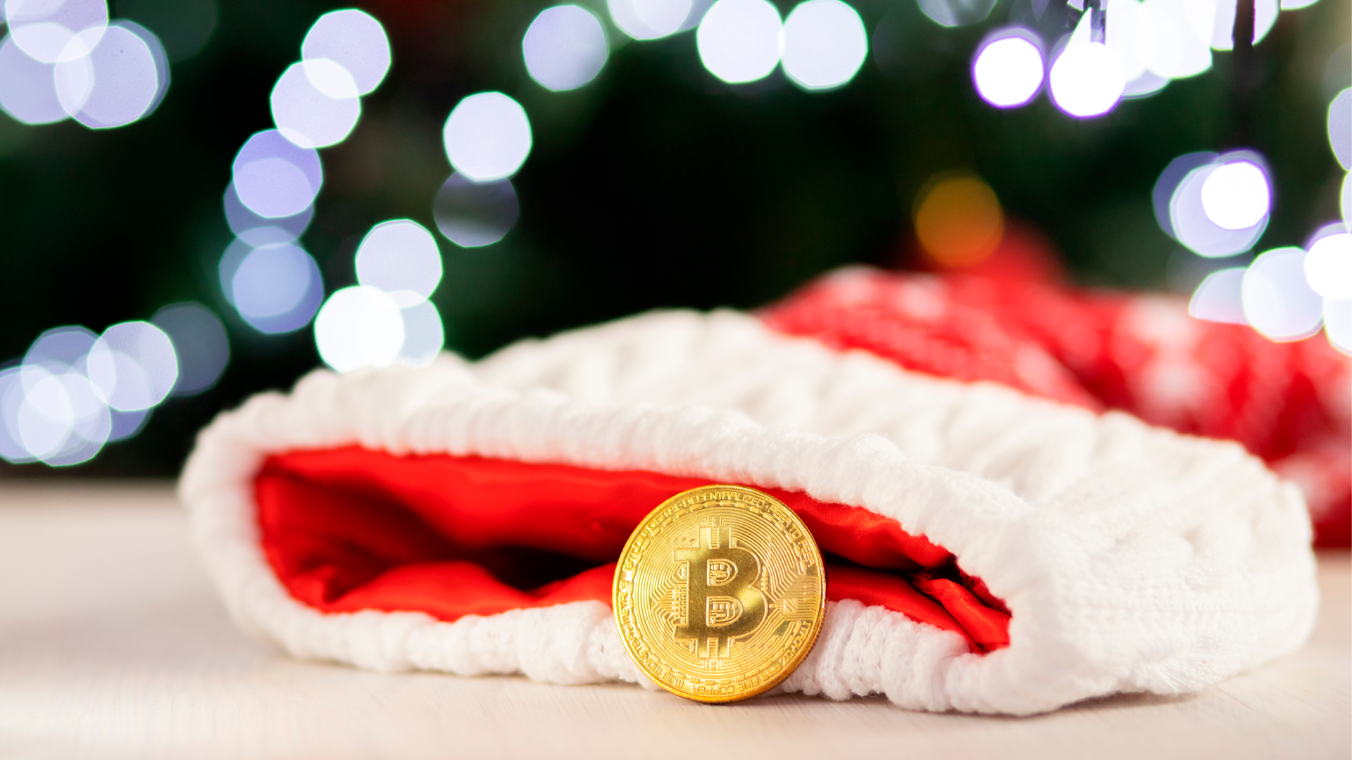 rally natal bitcoin