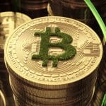 Moeda de Bitcoin com vegetação