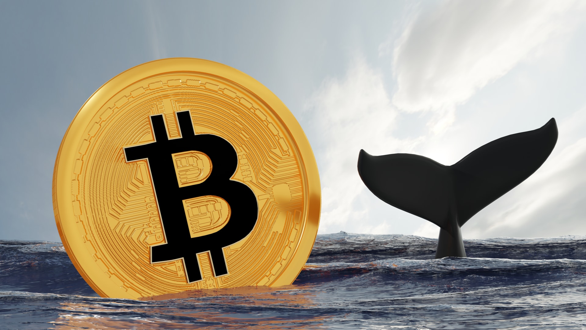 Bitcoin e cauda de Baleia.
