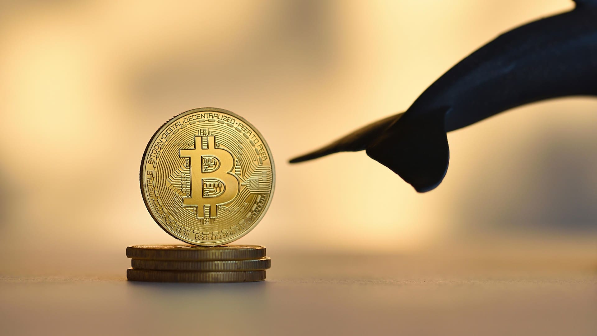 Bitcoin com cauda de baleia