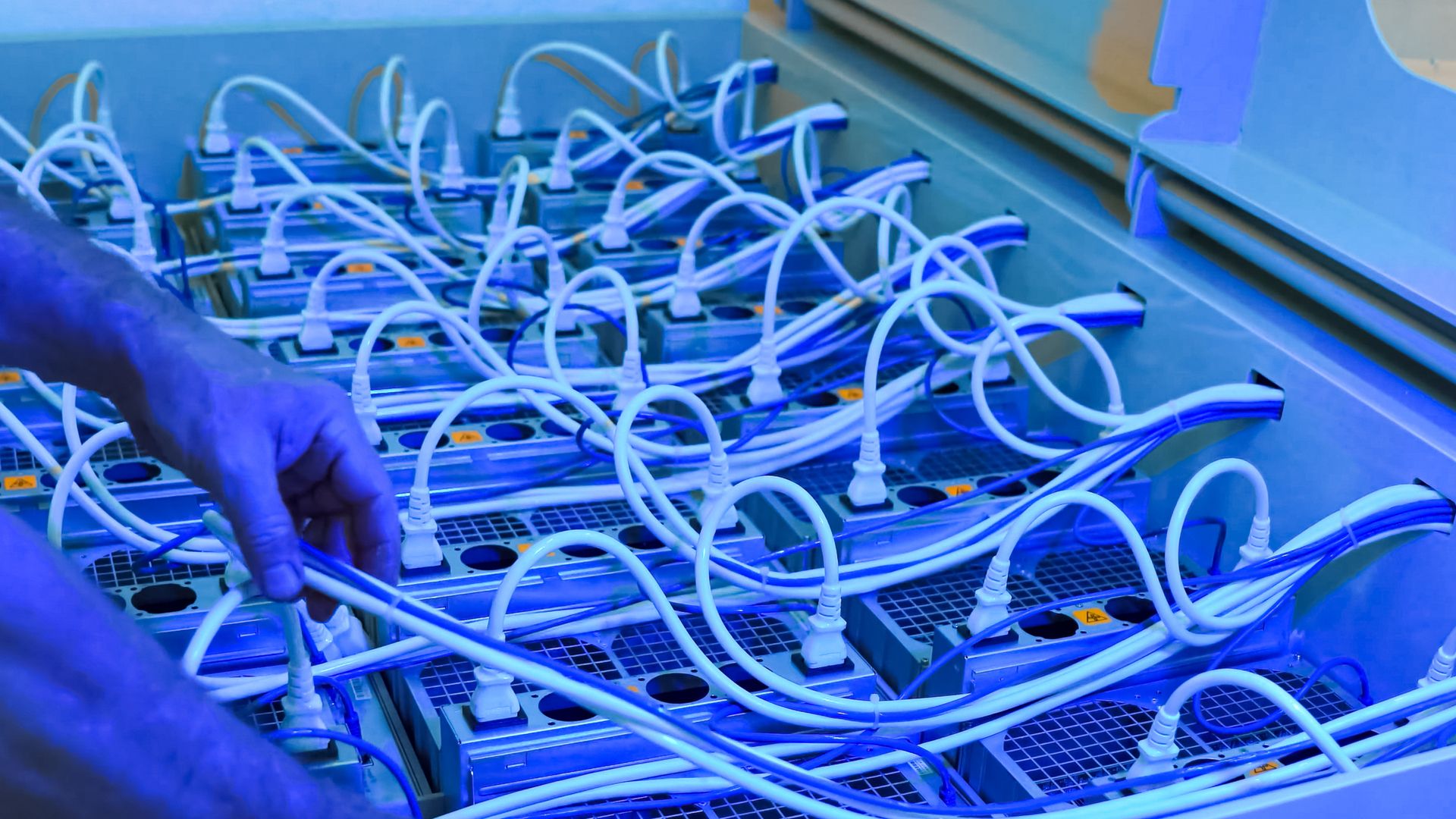 ASICs de mineração de Bitcoin submersas em líquido de resfriamento.