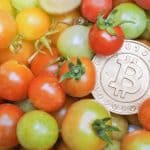Bitcoin mergulhado em frutas vermelhas