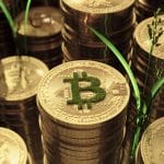 Bitcoin verde.