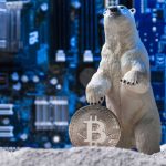 Urso polar e Bitcoin, simbolizando o inverno cripto.