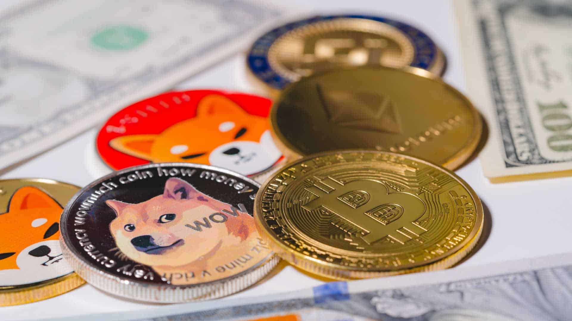 Criptomoedas.