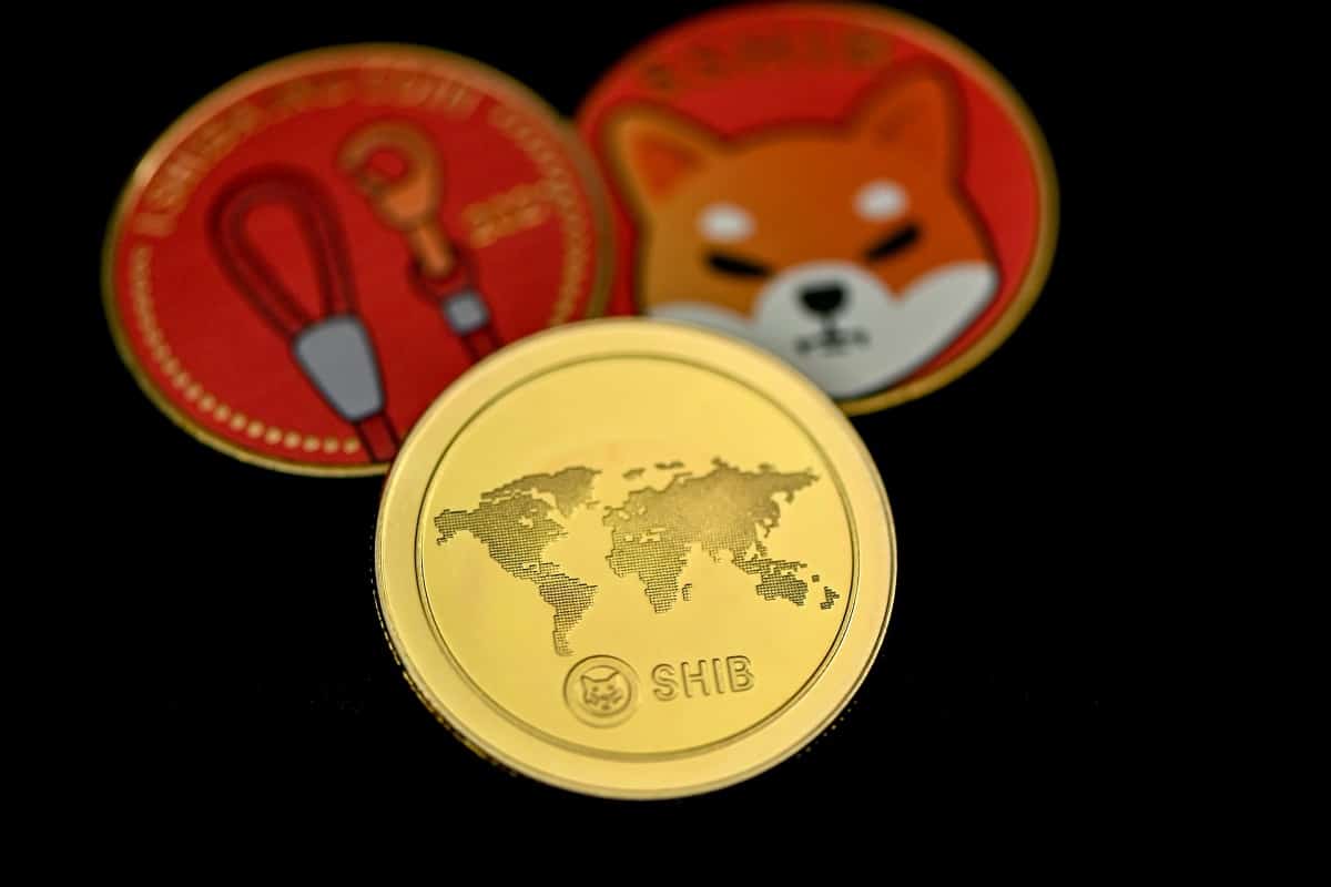 Moedas simbólicas de Shiba Inu em destaque
