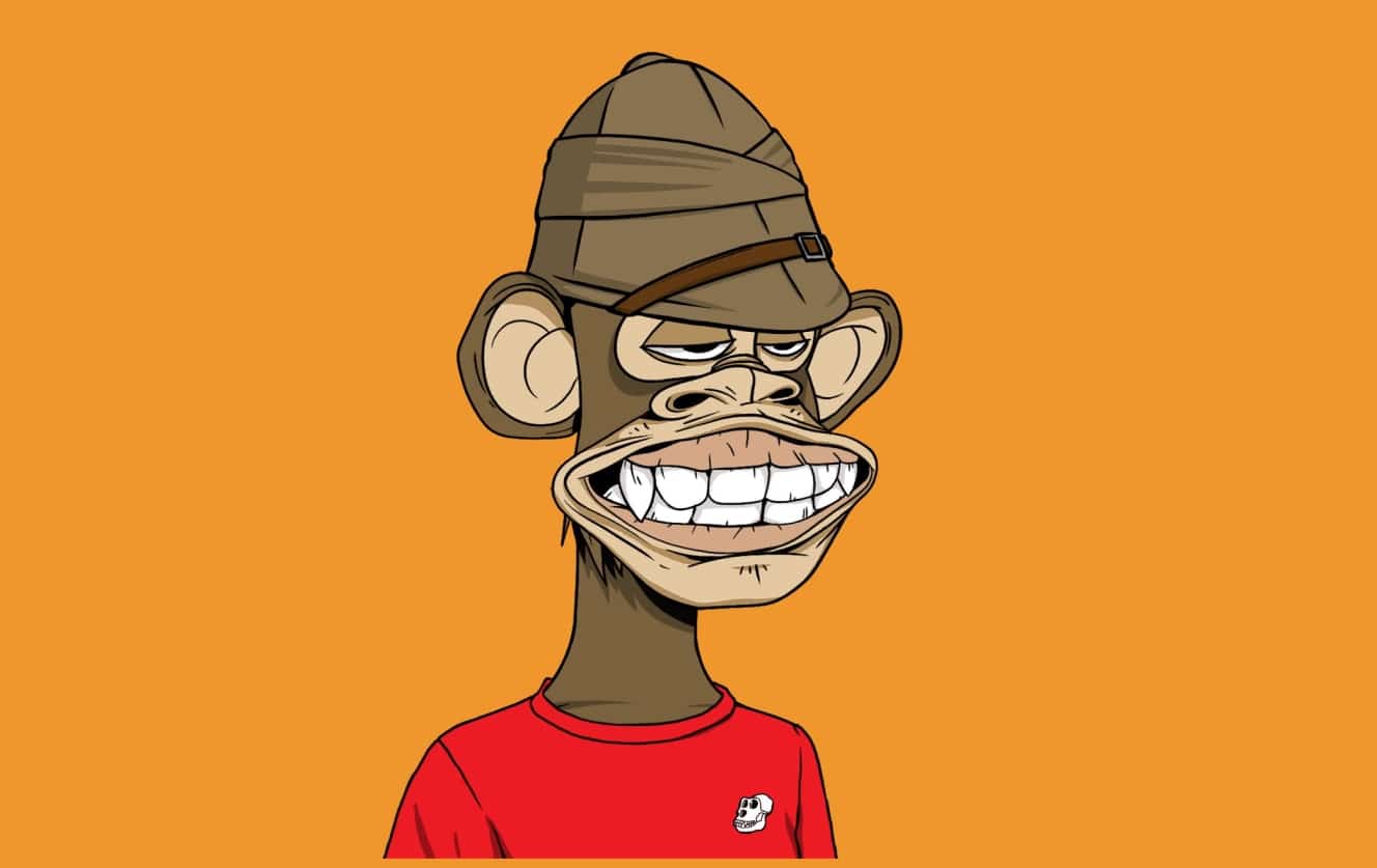 NFT macaco