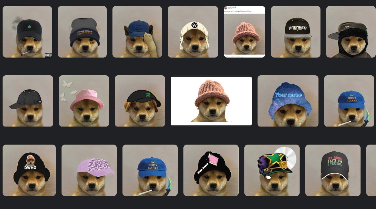 Dogwifhat