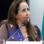 Dep. Adriana Ventura (NOVO-SP) projeto de lei