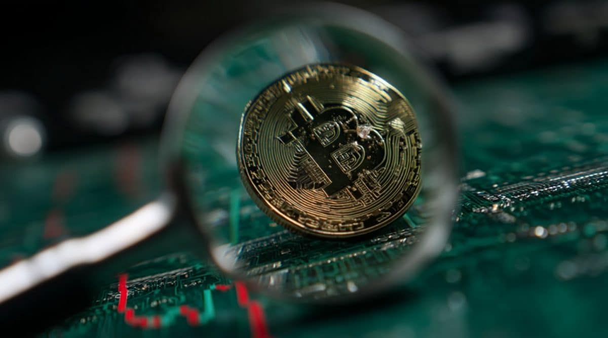 Lupa investigando Bitcoin. Fonte: Midjourney.