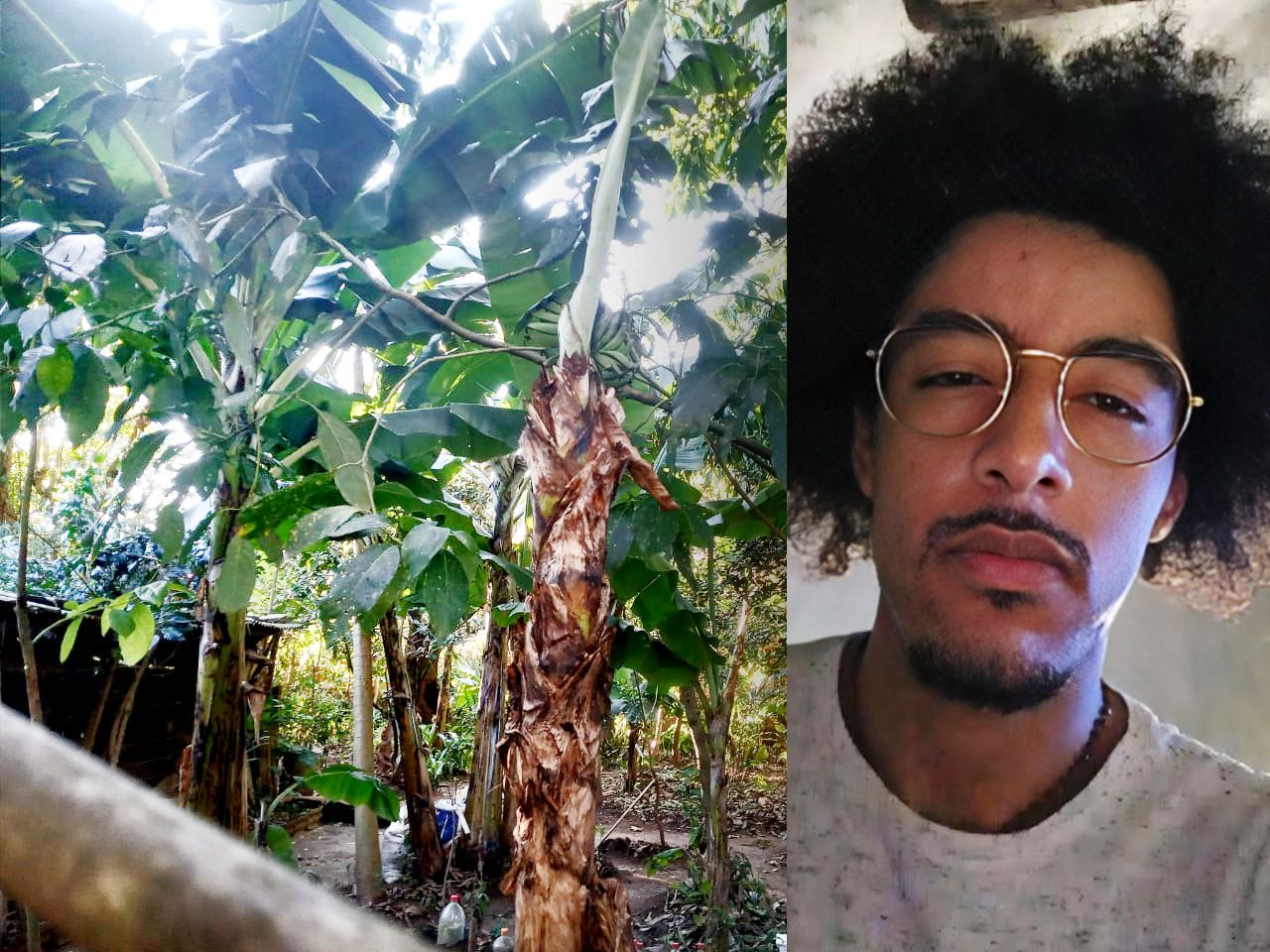 Brasileiro Floresta Bitcoin