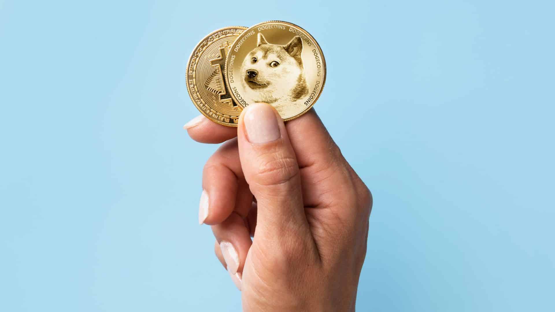 trader Dogecoin perdeu tudo