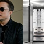 Elon Musk e bitcoin