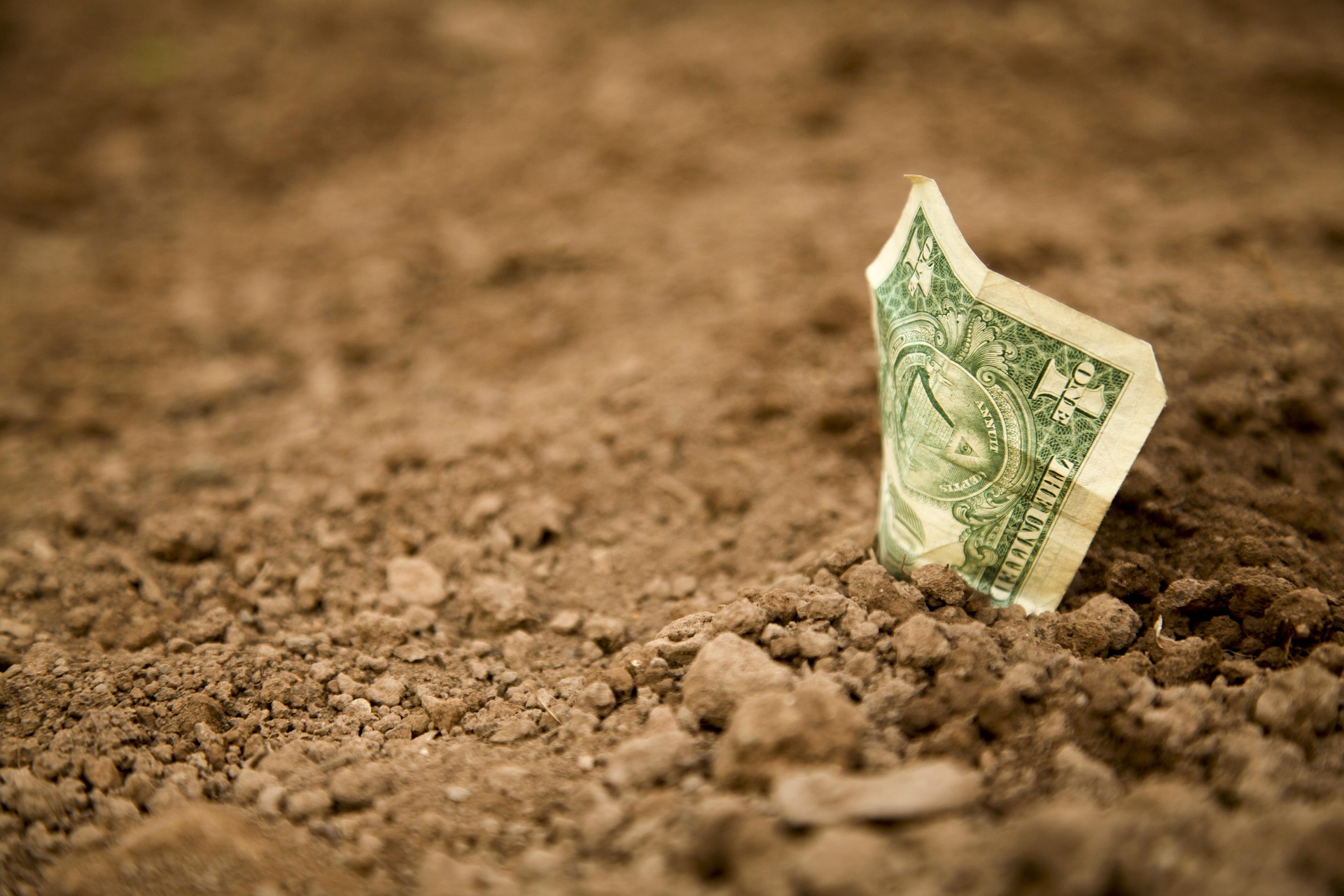 Dólar