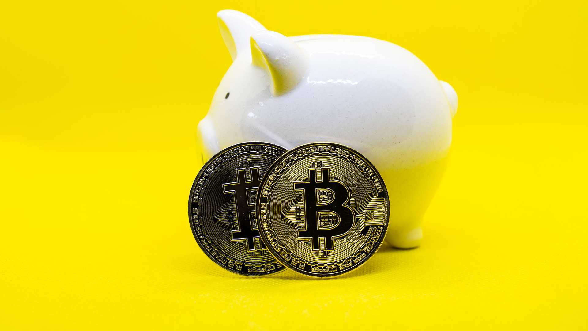 Porco com fundo amarelo e bitcoins simbólicos ao lado