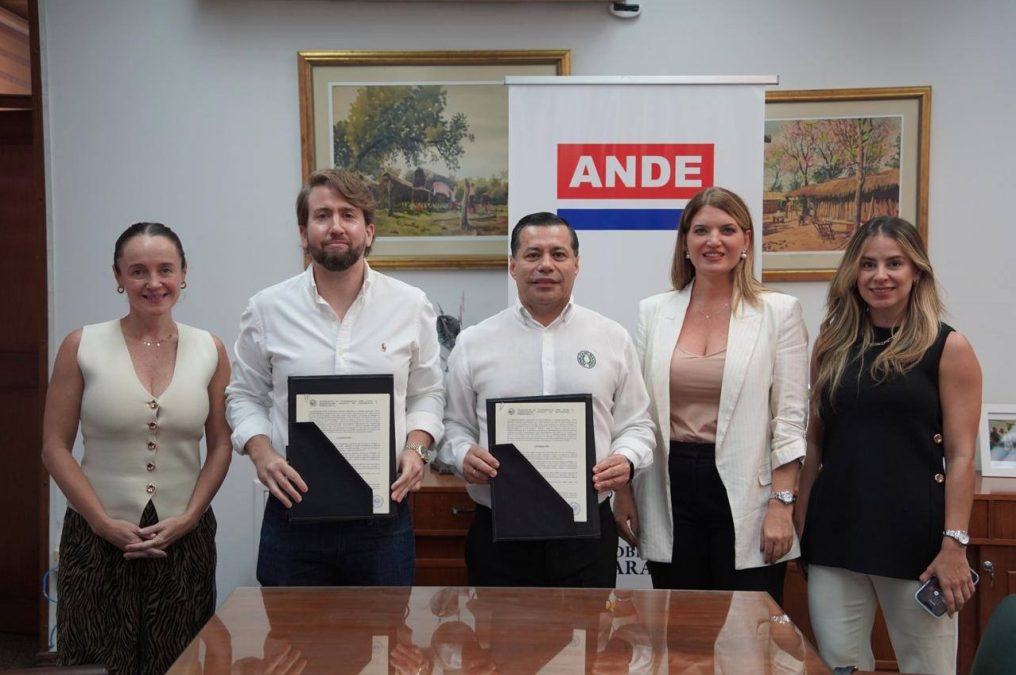 ANDE