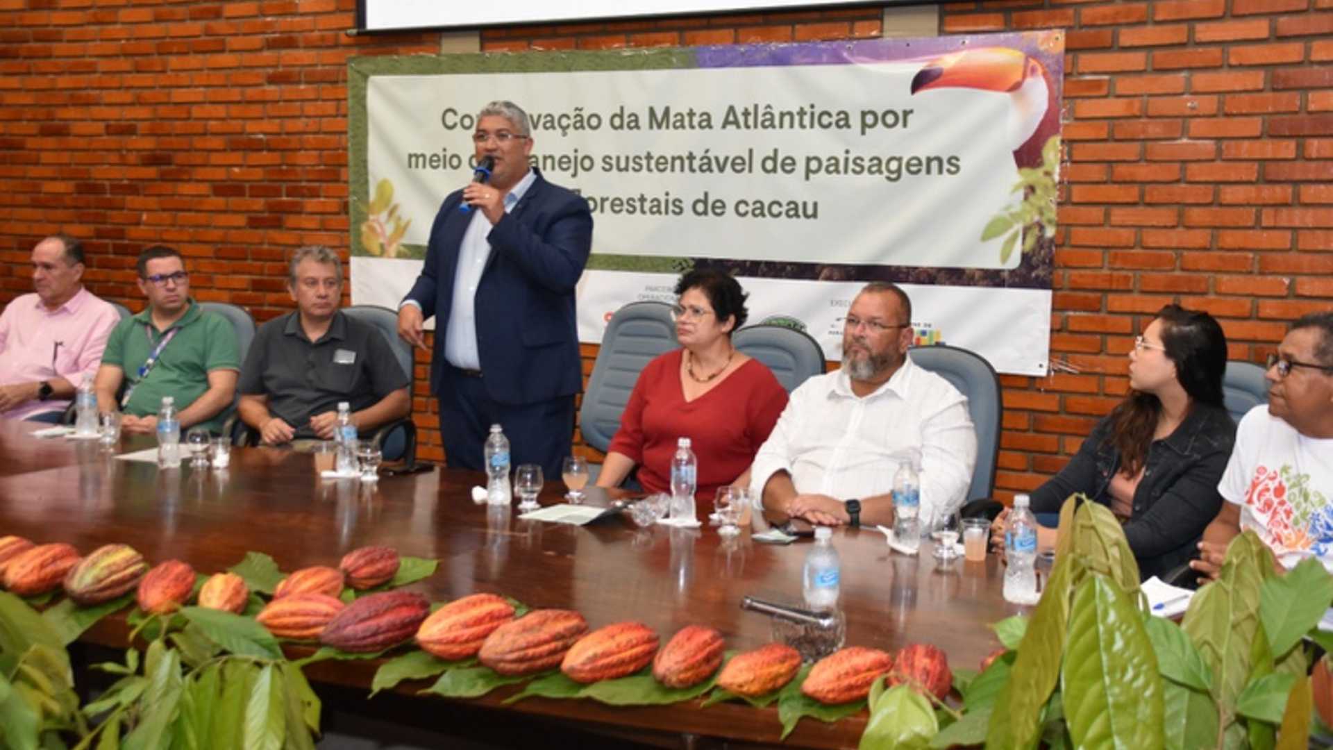 Cacau da Bahia pode ganhar blockchain para garantir seu rastreio